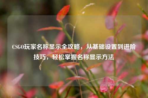 CSGO玩家名称显示全攻略，从基础设置到进阶技巧，轻松掌握名称显示方法