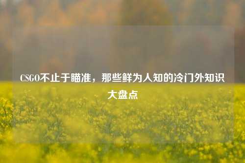 CSGO不止于瞄准,那些鲜为人知的冷门外知识大盘点