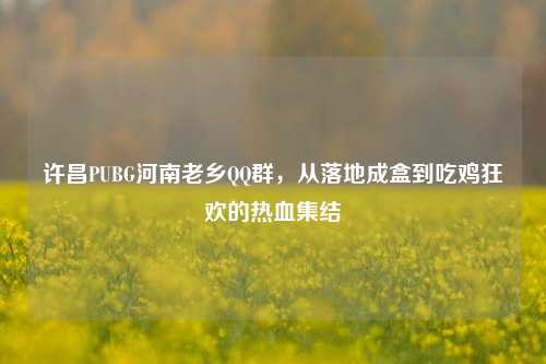 许昌PUBG河南老乡QQ群,从落地成盒到吃鸡狂欢的热血集结