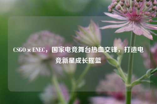 CSGO×ENEC,国家电竞舞台热血交锋,打造电竞新星成长摇篮