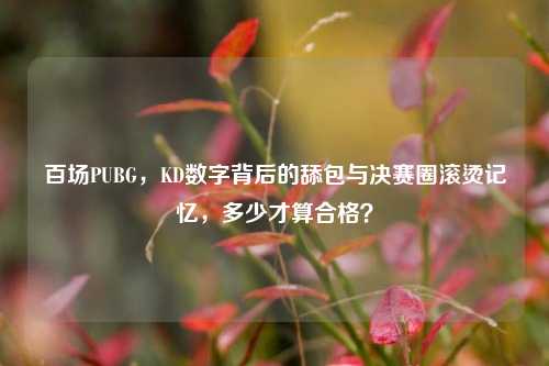 百场PUBG,KD数字背后的舔包与决赛圈滚烫记忆,多少才算合格?