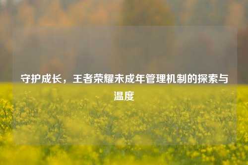 守护成长,王者荣耀未成年管理机制的探索与温度