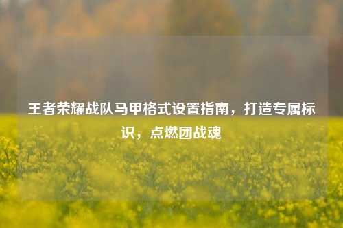 王者荣耀战队马甲格式设置指南,打造专属标识,点燃团战魂
