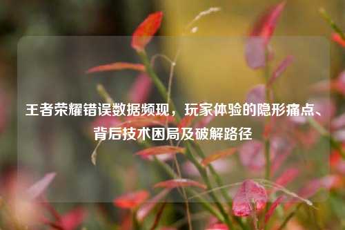 王者荣耀错误数据频现,玩家体验的隐形痛点、背后技术困局及破解路径