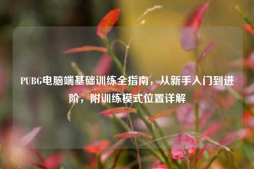 PUBG电脑端基础训练全指南,从新手入门到进阶,附训练模式位置详解