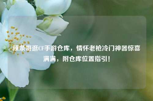 辣条哥逛CF手游仓库,情怀老枪冷门神器惊喜满满,附仓库位置指引!