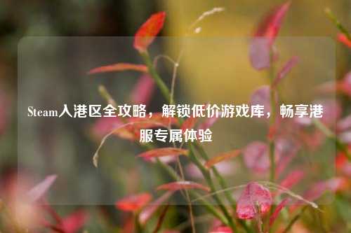 Steam入港区全攻略,解锁低价游戏库,畅享港服专属体验
