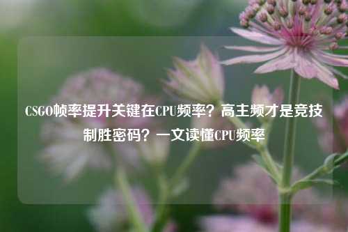 CSGO帧率提升关键在CPU频率?高主频才是竞技制胜密码?一文读懂CPU频率