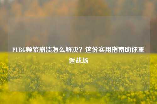PUBG频繁崩溃怎么解决？这份实用指南助你重返战场