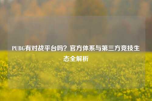 PUBG有对战平台吗?官方体系与第三方竞技生态全解析