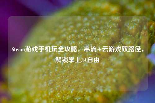 Steam游戏手机玩全攻略，串流+云游戏双路径，解锁掌上3A自由