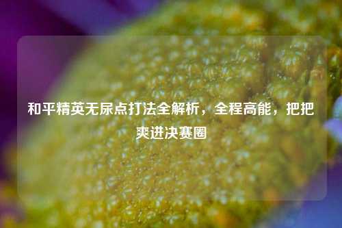 和平精英无尿点打法全解析,全程高能,把把爽进决赛圈
