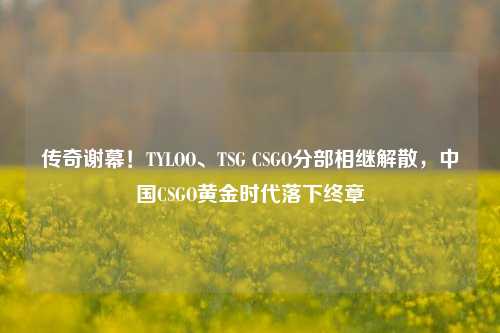 传奇谢幕!TYLOO、TSG CSGO分部相继解散,中国CSGO黄金时代落下终章