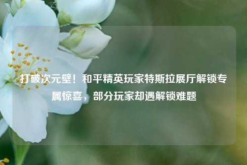 打破次元壁!和平精英玩家特斯拉展厅解锁专属惊喜,部分玩家却遇解锁难题