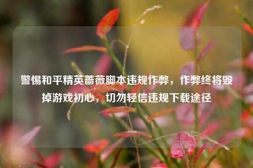 警惕和平精英蔷薇脚本违规作弊，作弊终将毁掉游戏初心，切勿轻信违规下载途径