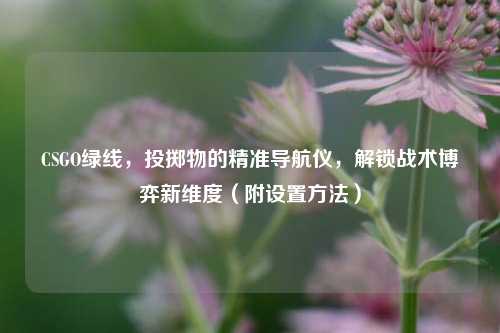 CSGO绿线,投掷物的精准导航仪,解锁战术博弈新维度(附设置方法)