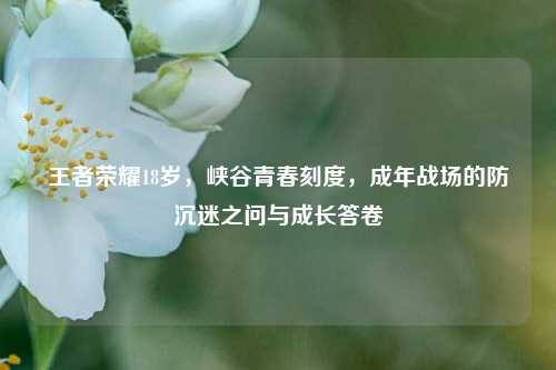 王者荣耀18岁,峡谷青春刻度,成年战场的防沉迷之问与成长答卷