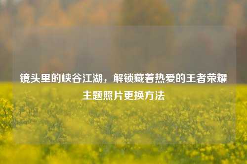 镜头里的峡谷江湖,解锁藏着热爱的王者荣耀主题照片更换方法