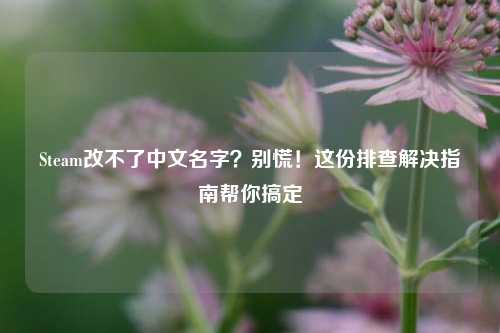 Steam改不了中文名字?别慌!这份排查解决指南帮你搞定