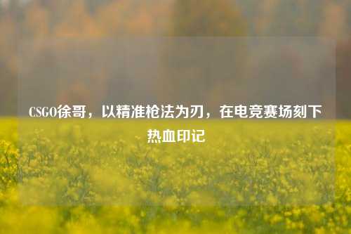 CSGO徐哥,以精准枪法为刃,在电竞赛场刻下热血印记