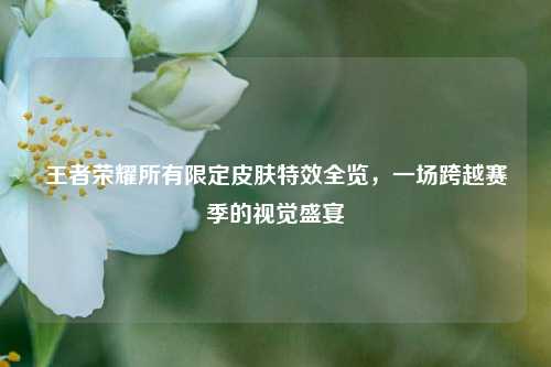 王者荣耀所有限定皮肤特效全览，一场跨越赛季的视觉盛宴