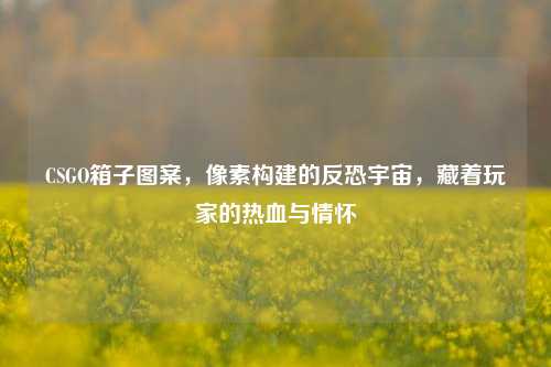 CSGO箱子图案,像素构建的反恐宇宙,藏着玩家的热血与情怀