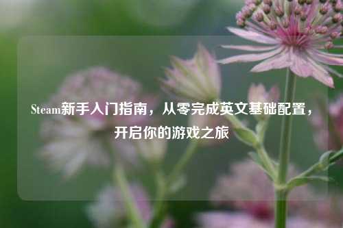 Steam新手入门指南,从零完成英文基础配置,开启你的游戏之旅