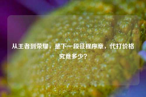 从王者到荣耀,是下一段征程序章,代打价格究竟多少?