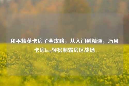和平精英卡房子全攻略,从入门到精通,巧用卡房bug轻松制霸房区战场