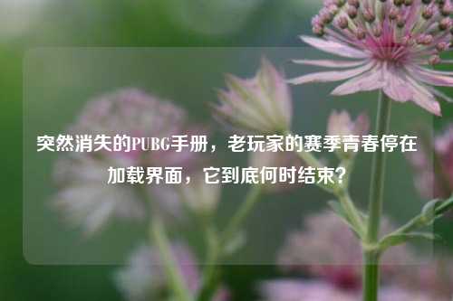 突然消失的PUBG手册,老玩家的赛季青春停在加载界面,它到底何时结束?