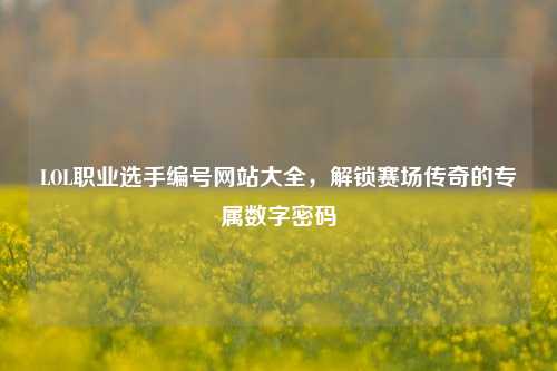 LOL职业选手编号网站大全，解锁赛场传奇的专属数字密码