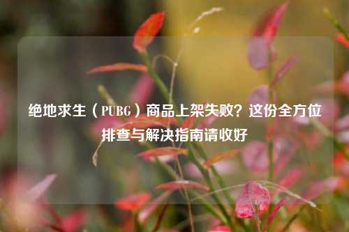 绝地求生(PUBG)商品上架失败?这份全方位排查与解决指南请收好