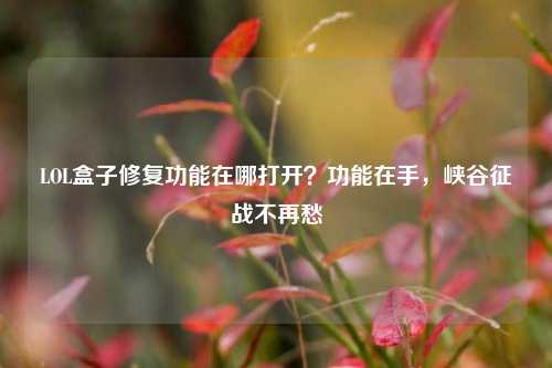 LOL盒子修复功能在哪打开?功能在手,峡谷征战不再愁