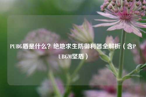 PUBG盾是什么?绝地求生防御利器全解析(含PUBGM坚盾)