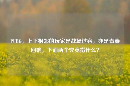 PUBG,上下相邻的玩家是战场过客,亦是青春回响,下面两个究竟指什么?