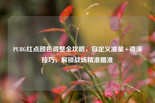 PUBG红点颜色调整全攻略,自定义准星+调深技巧,解锁战场精准瞄准