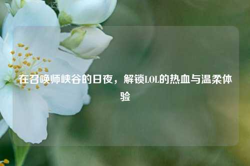 在召唤师峡谷的日夜,解锁LOL的热血与温柔体验