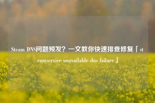 Steam DNS问题频发?一文教你快速排查修复「steamservice unavailable dns failure」