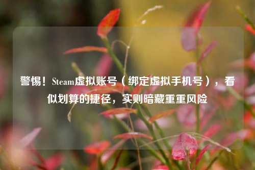 警惕!Steam虚拟账号(绑定虚拟手机号),看似划算的捷径,实则暗藏重重风险