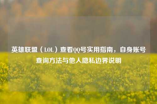 英雄联盟（LOL）查看QQ号实用指南，自身账号查询方法与他人隐私边界说明