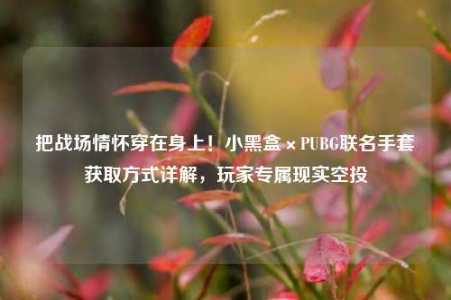 把战场情怀穿在身上!小黑盒×PUBG联名手套获取方式详解,玩家专属现实空投
