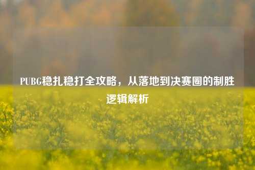 PUBG稳扎稳打全攻略，从落地到决赛圈的制胜逻辑解析