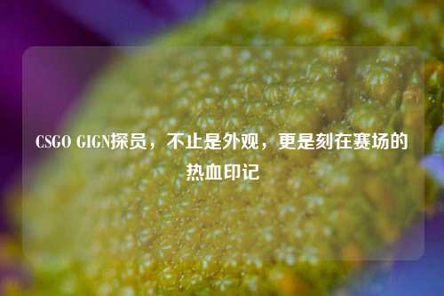 CSGO GIGN探员,不止是外观,更是刻在赛场的热血印记