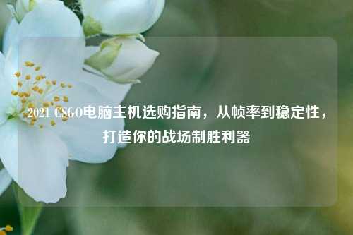2021 CSGO电脑主机选购指南,从帧率到稳定性,打造你的战场制胜利器