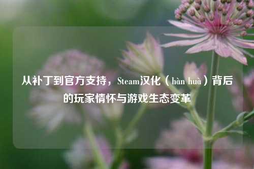 从补丁到官方支持,Steam汉化(hàn huà)背后的玩家情怀与游戏生态变革
