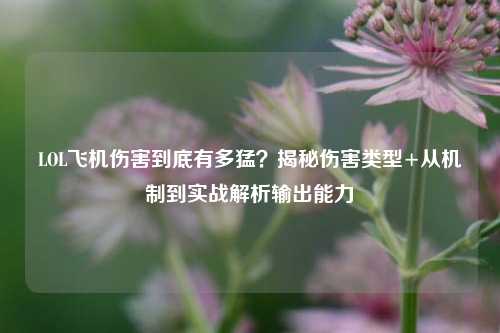 LOL飞机伤害到底有多猛?揭秘伤害类型+从机制到实战解析输出能力