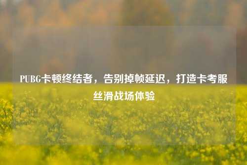 PUBG卡顿终结者,告别掉帧延迟,打造卡考服丝滑战场体验