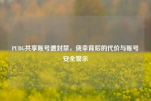 PUBG共享账号遭封禁,侥幸背后的代价与账号安全警示