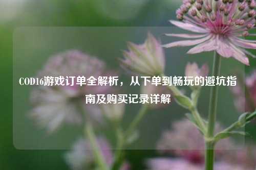 COD16游戏订单全解析,从下单到畅玩的避坑指南及购买记录详解