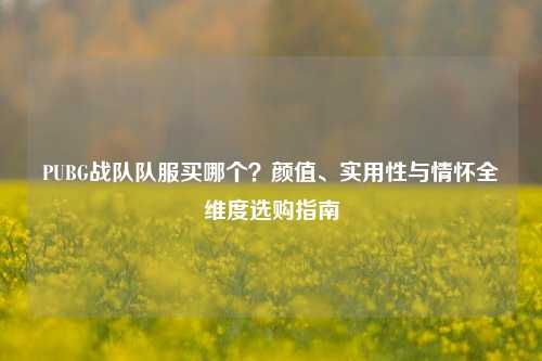 PUBG战队队服买哪个?颜值、实用性与情怀全维度选购指南